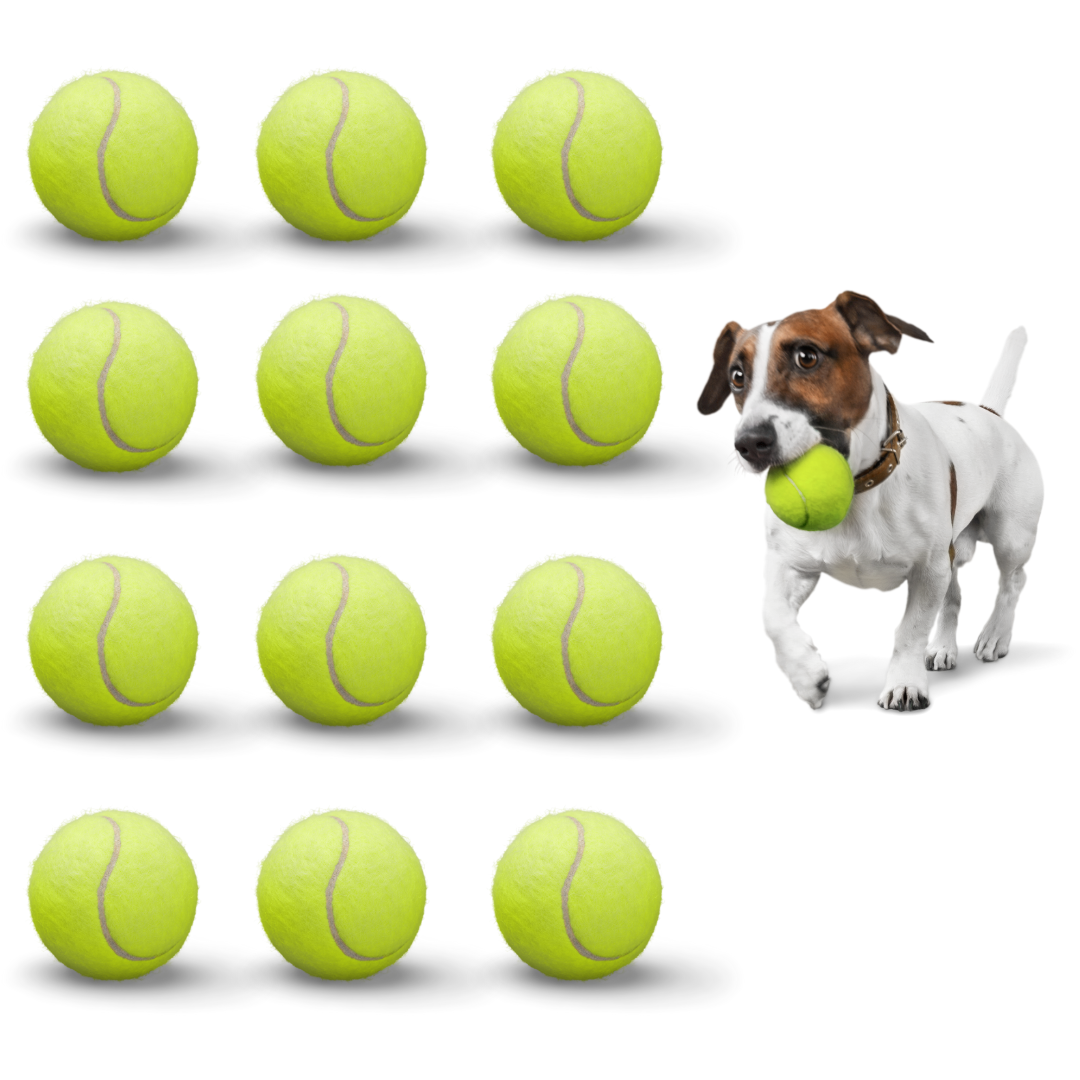 Tennis Balls for Dogs