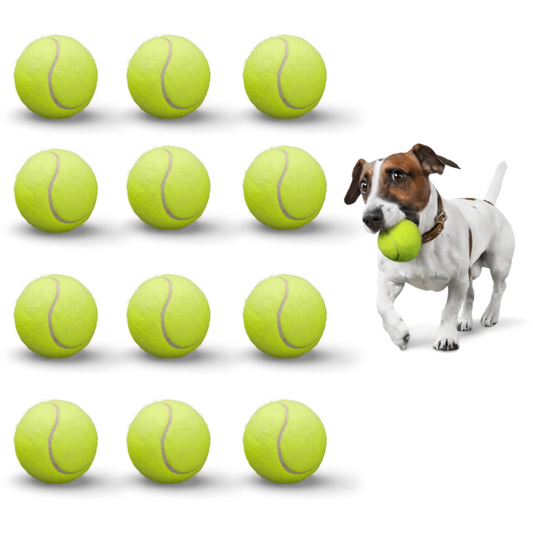 Tennis Balls for Dogs