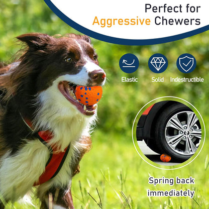 ETPU Dog Balls 6 Pack, Multicolor