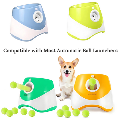 Tennis Balls for Dogs