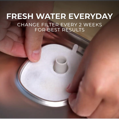 Automatic Cat Water Fountain