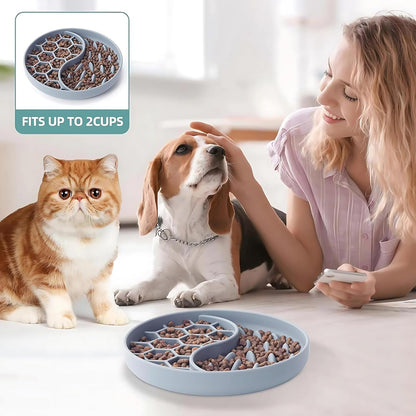 Silicone Slow Feeding Bowl for Dogs & Cats