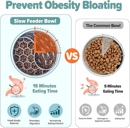 Silicone Slow Feeding Bowl for Dogs & Cats